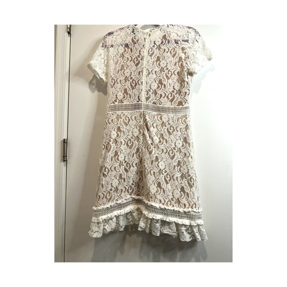 Flirty Bebe curve hugging lace dress! - Picture 2 of 15